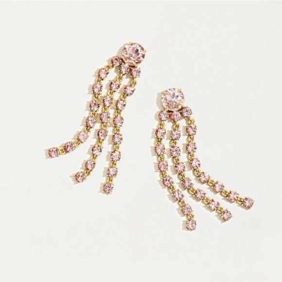 J. Crew Jewelry - NWT J. Crew Jewel Satement Earrings